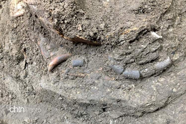 کشف اسکلت ۱۲هزار ساله کودکی که نشسته دفن شده است