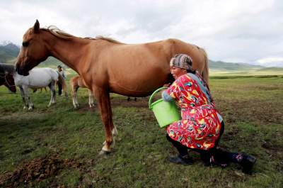 شیر اسب؛ روش قرقیزستان برای جذب گردشگر
