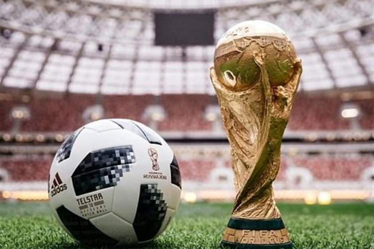 فروش بیش از ۵۰ درصد تورهای جام جهانی