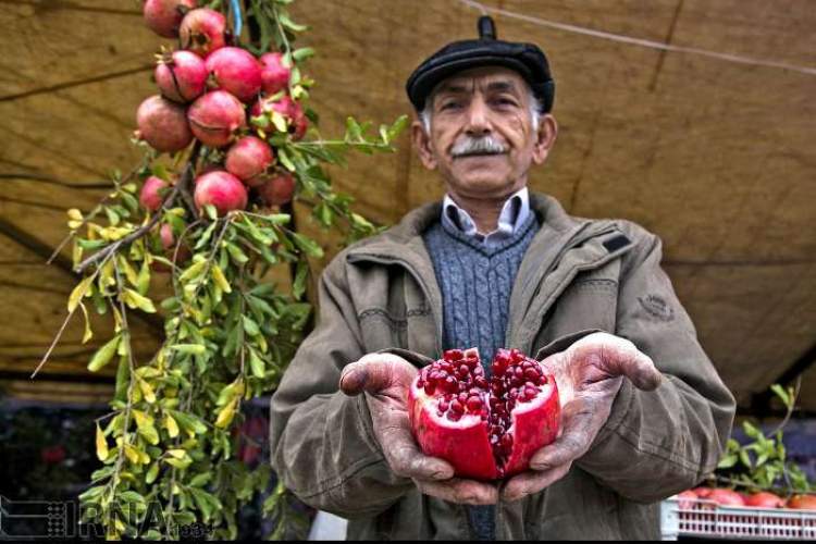 شروع آبان مازندران با گردشگری انار