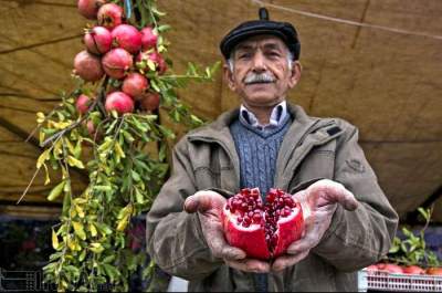 شروع آبان مازندران با گردشگری انار