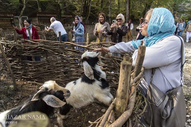 حظ مهمانان خارجی در میزبان